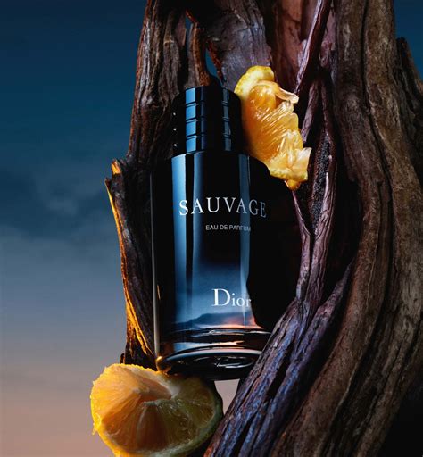 dior geurtje|dior parfum sauvage.